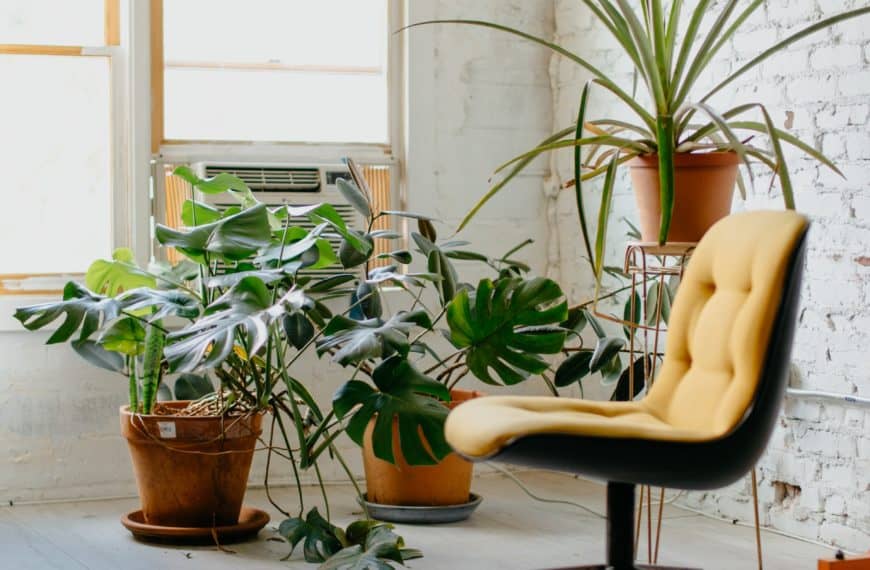 Inside a home office with a yellow chair