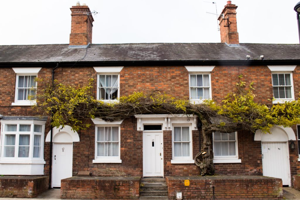 Terraced houses with white front doors