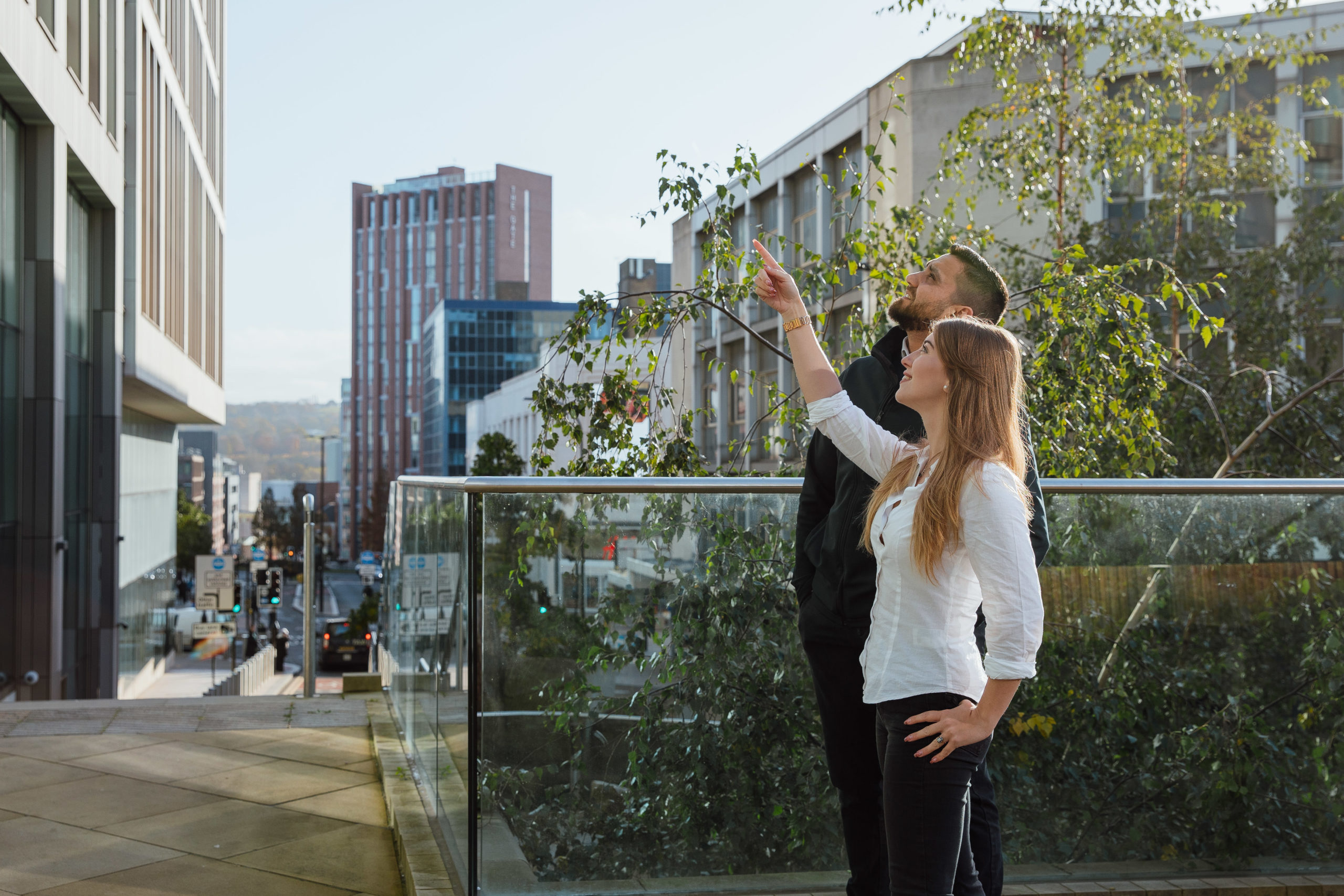 surveyors in sheffield