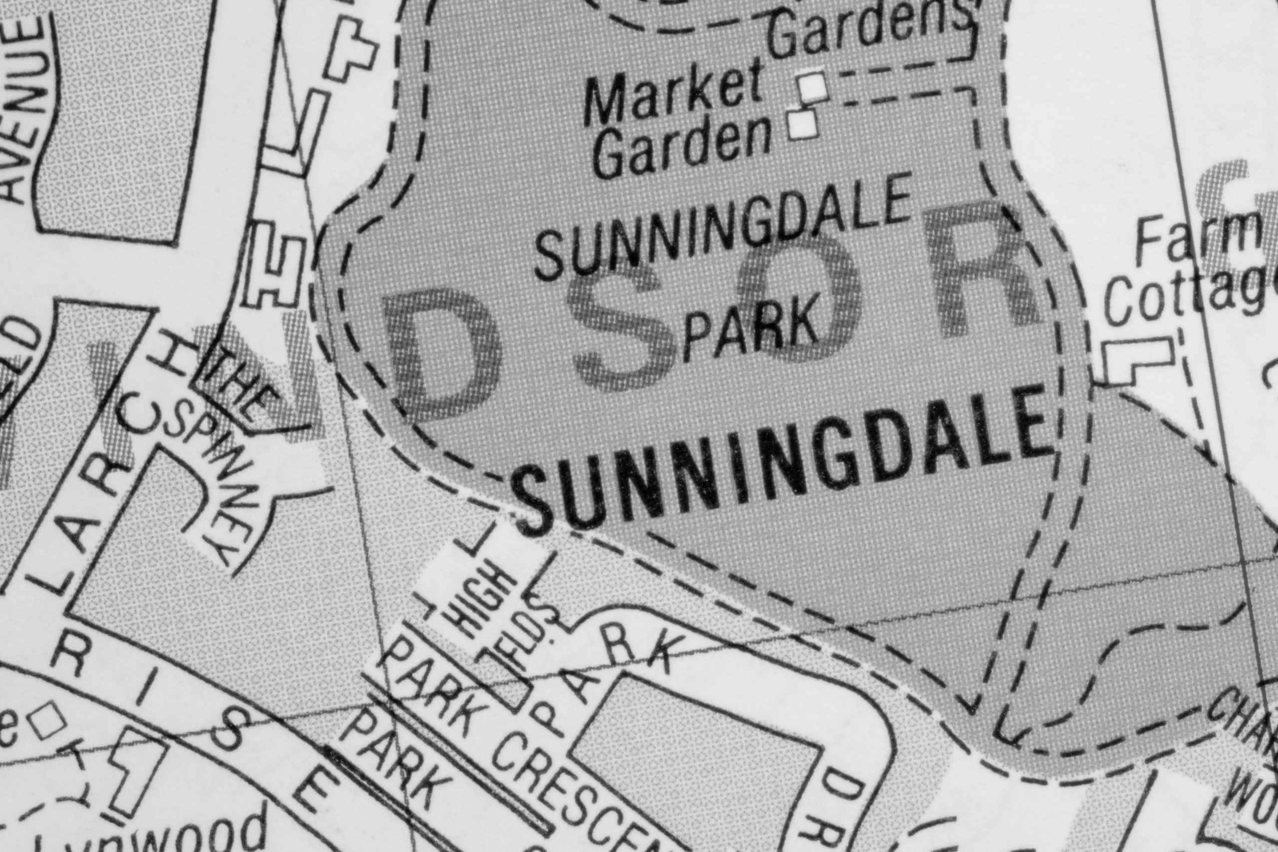 surveyors in sunningdale