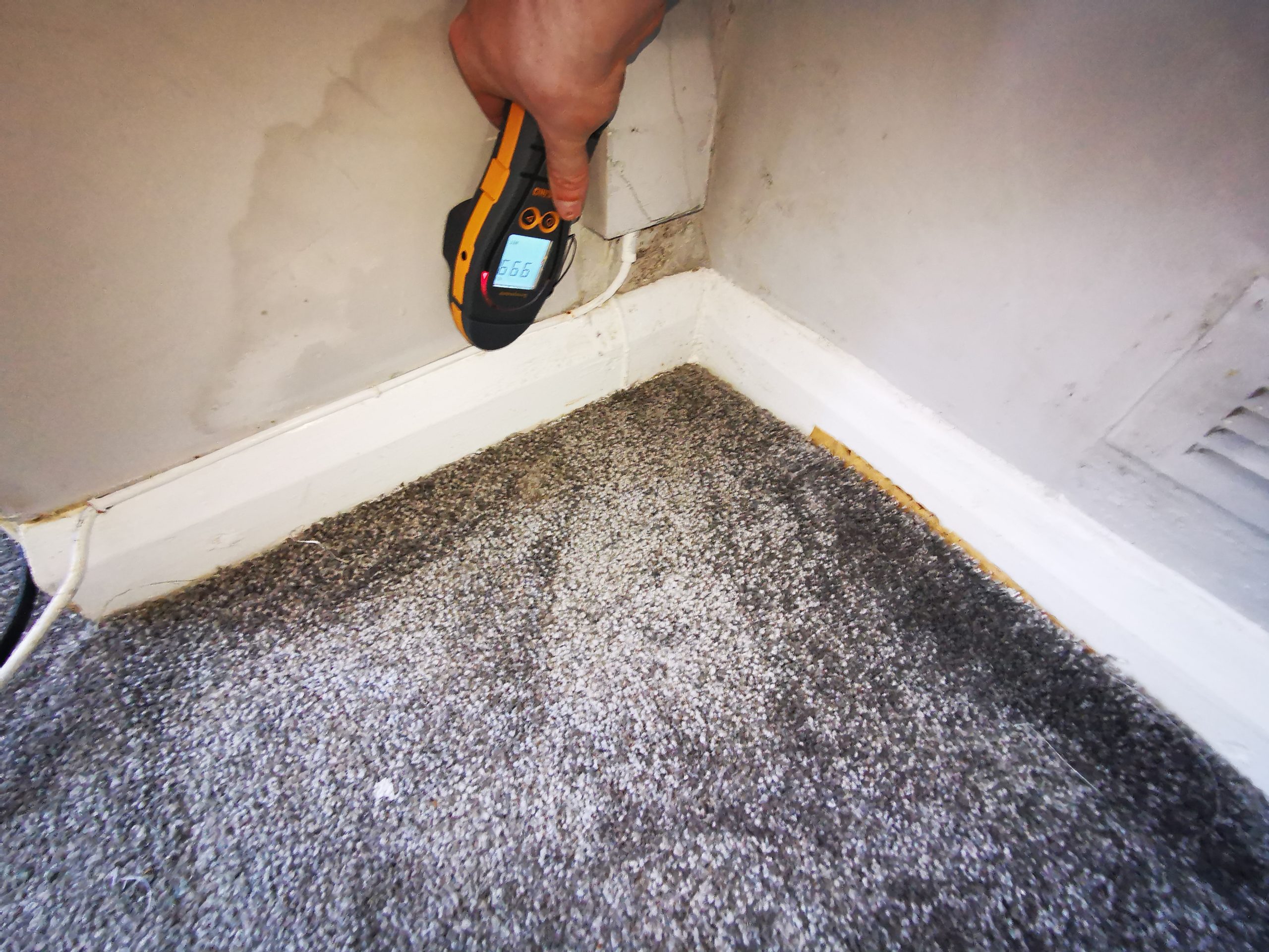 damp see on manchester homesurvey