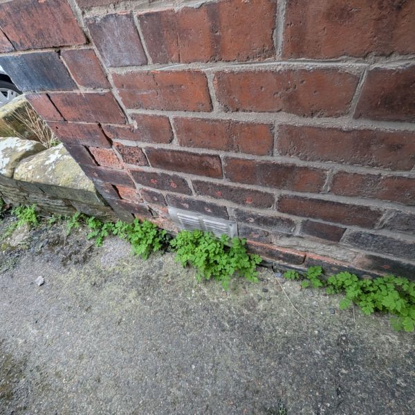 view of chemical damp proofing treatment in Sheffield