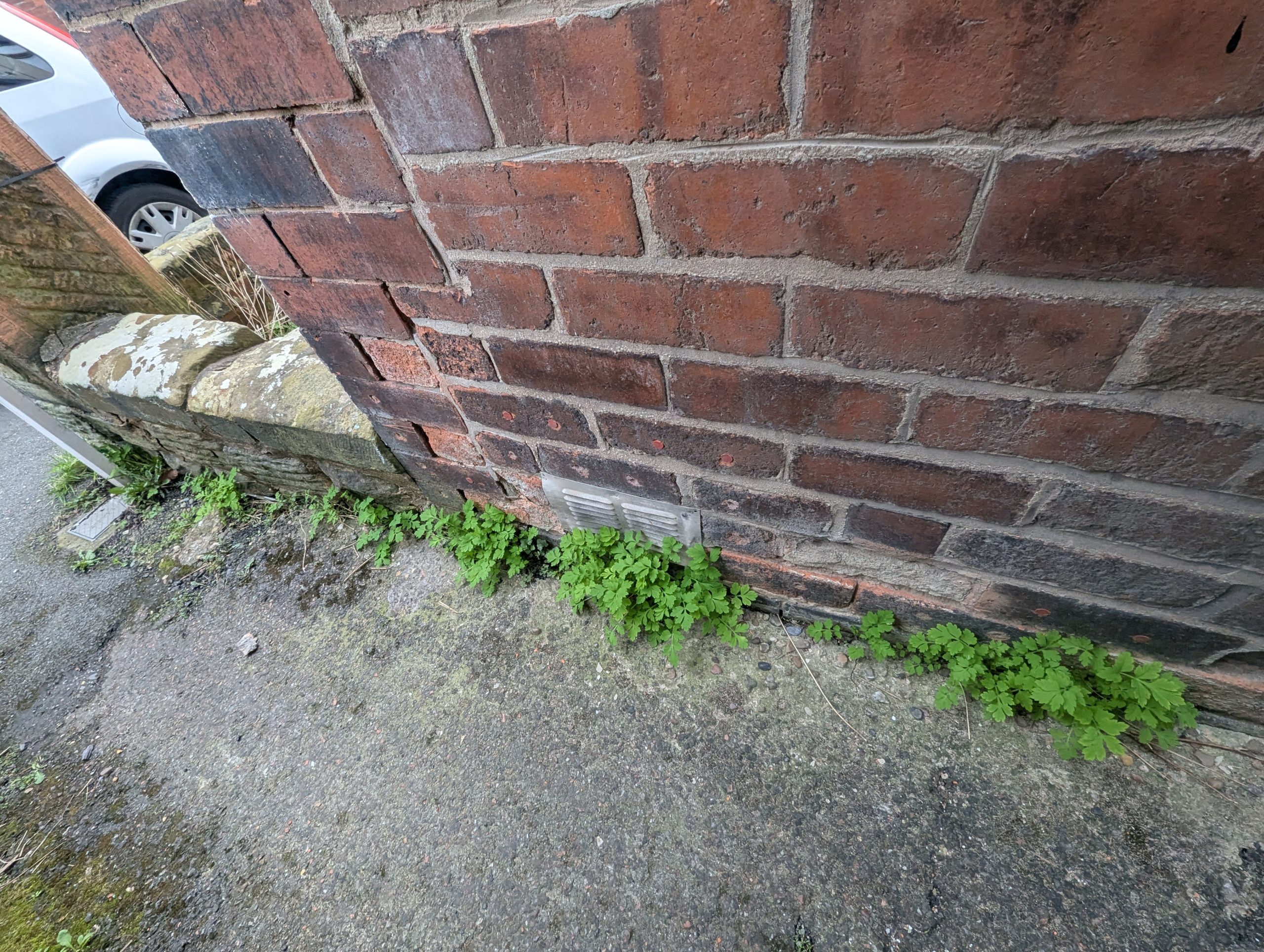 view of chemical damp proofing treatment in Sheffield