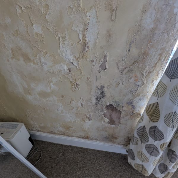 penetrating damp in Sheffield
