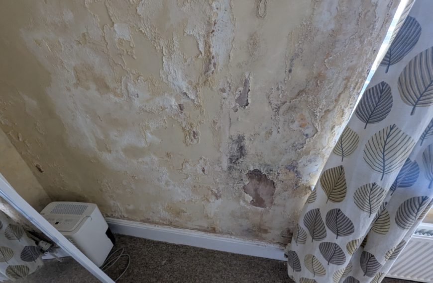 penetrating damp in Sheffield