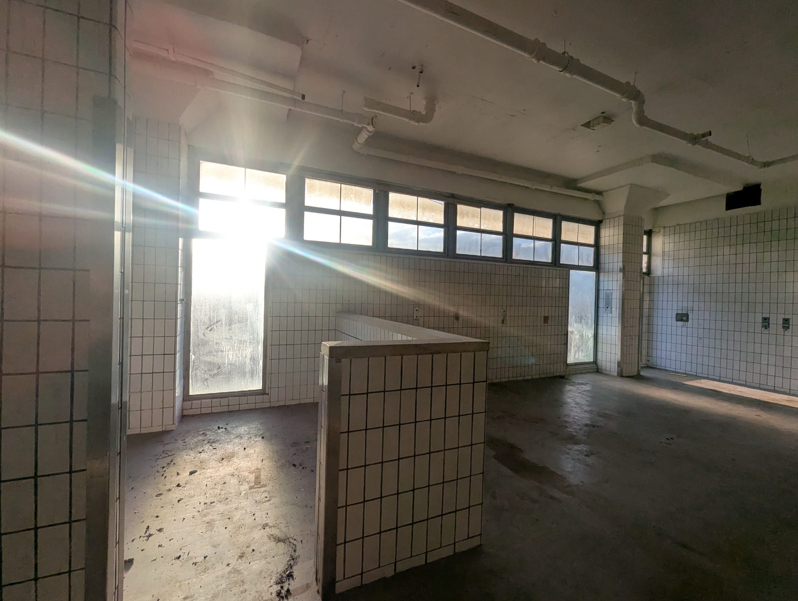 PXL_20250317_170342118 listed building survey