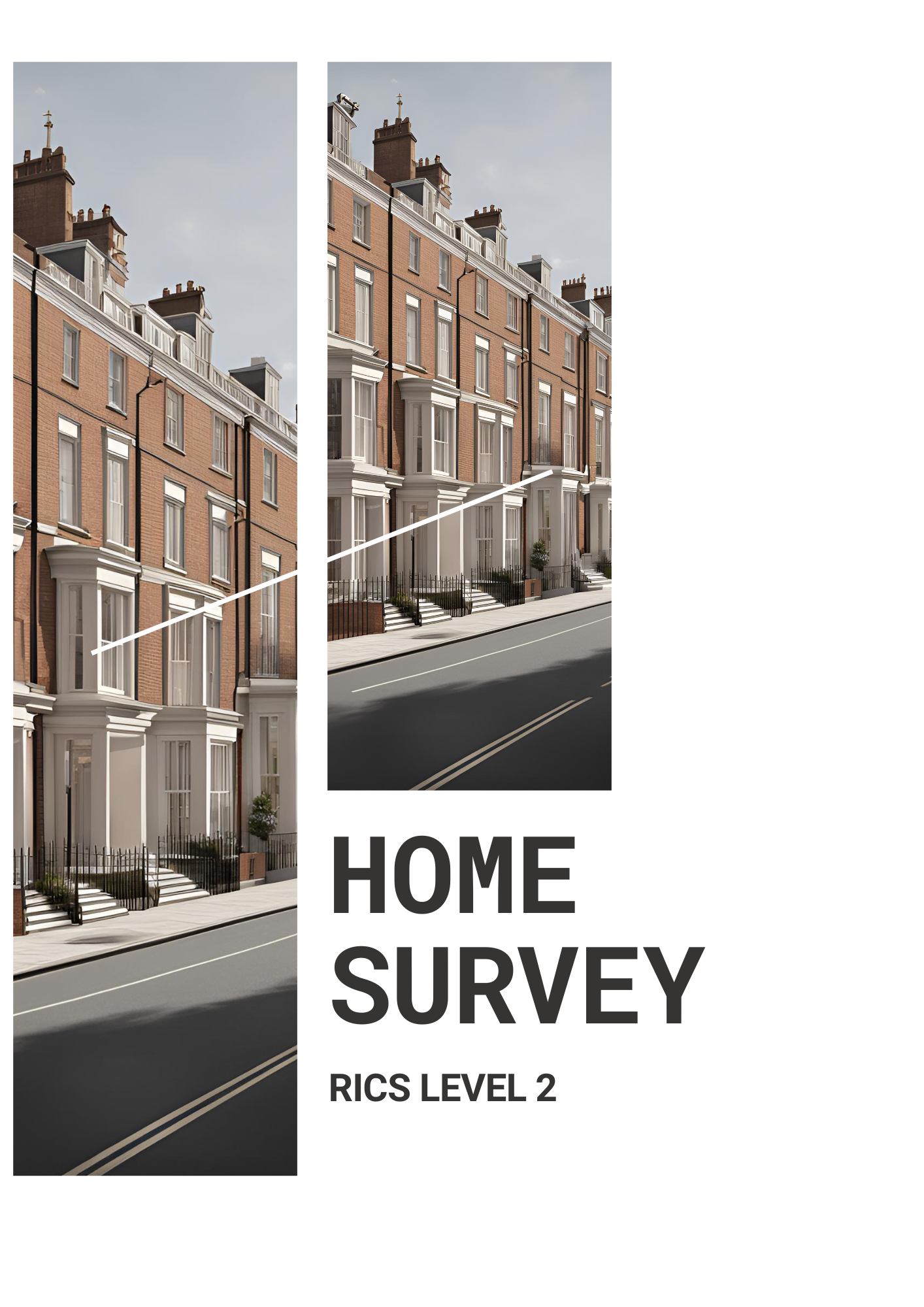 Level 2 home surveys